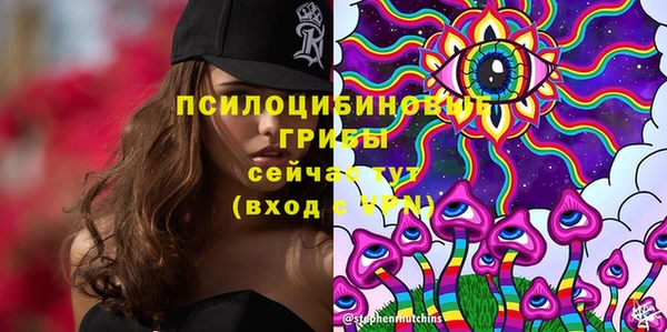 соль курить ск Алзамай