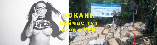соль курить ск Алзамай