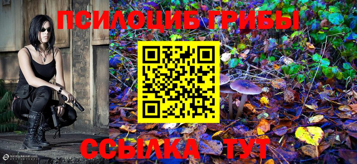 Галлюциногенные грибы MAGIC MUSHROOMS  Вход с VPN  Невинномысск  Галлюциногенные грибы мухоморы 