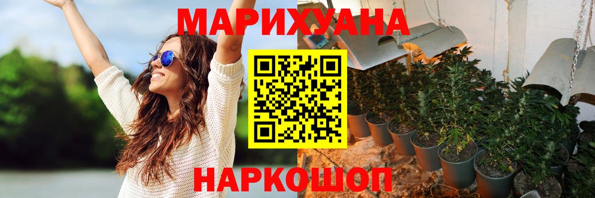 Невинномысск  Шишки марихуана семена  Вход с VPN  Бошки Шишки OG Kush  МАРИХУАНА VHQ 